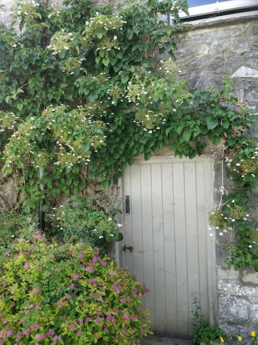Millstone Cottage - Cosy Peak District Cottage Taddington エクステリア 写真